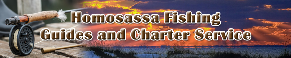 Fishing Guides and Charters